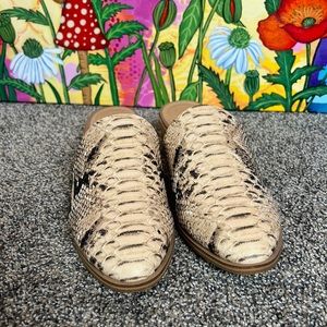 Flat Snake Printed leather mules sz 8 new without box